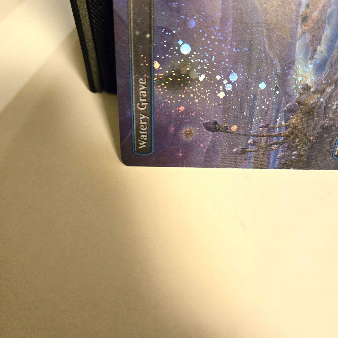 ラスト一枚【ギャラクシー・Foil】限定(529)■ボーダーレス■湿った墓　希少