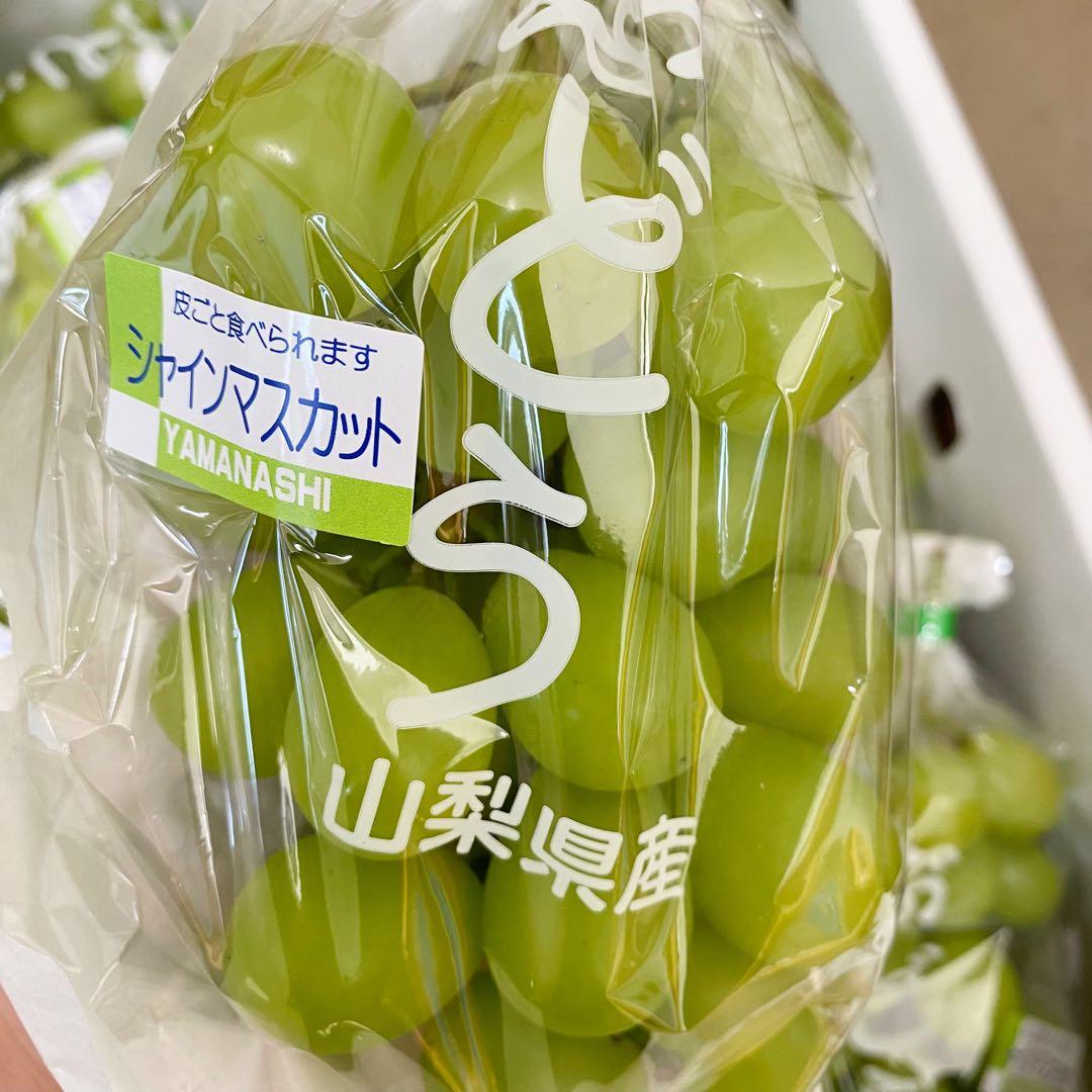 山梨県産　訳あり　家庭用　シャインマスカット　10房　箱込み4.5kg ㉑