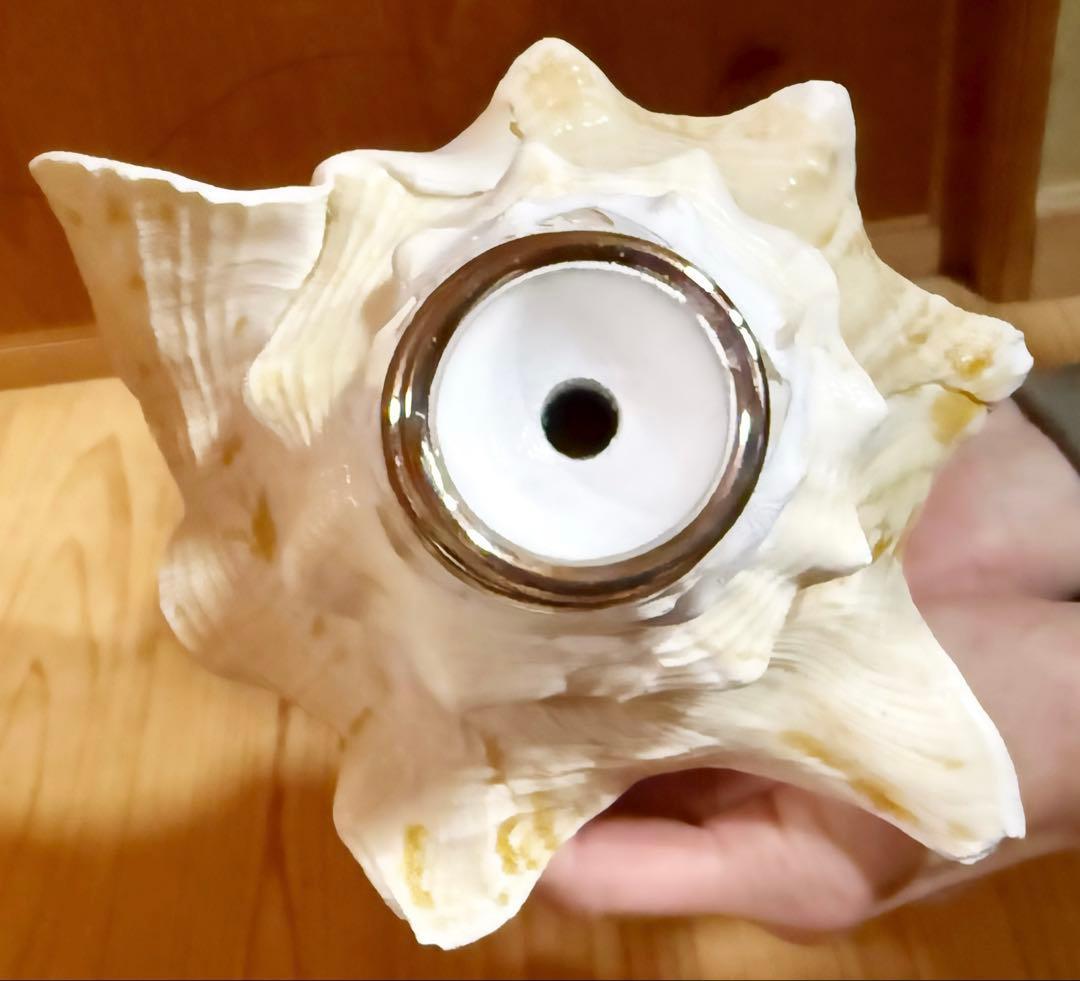 希少古代特大肉厚桃色法螺貝　（ピンク貝）法螺貝　ほら貝❣️コンク貝笛