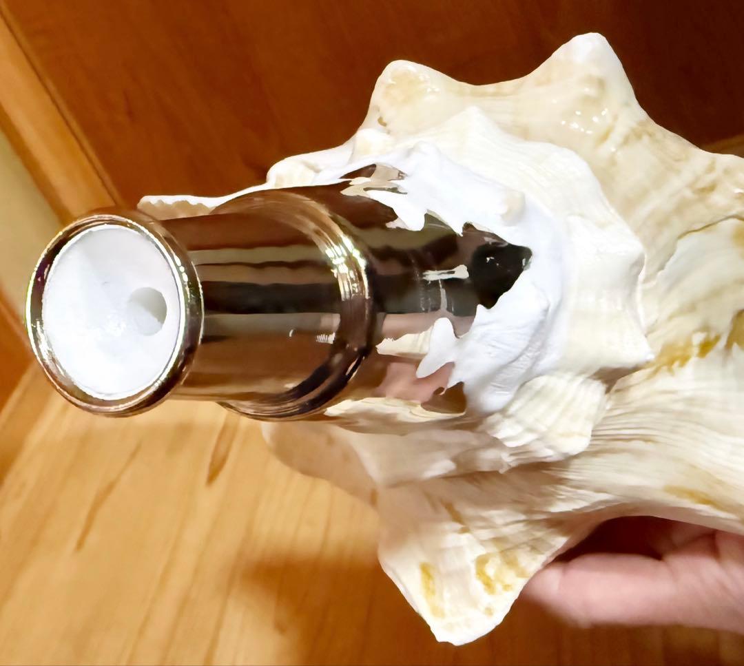 希少古代特大肉厚桃色法螺貝　（ピンク貝）法螺貝　ほら貝❣️コンク貝笛