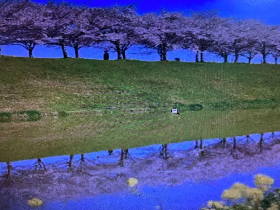 送料無料！9kg180束入り2個お姫さまマーク手延そうめん