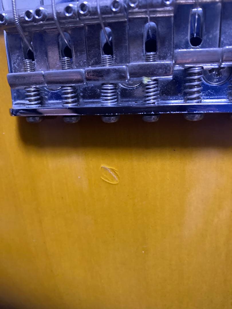 History Z1M-CFS 2TS 厚手専用ケース付き フジゲン製造