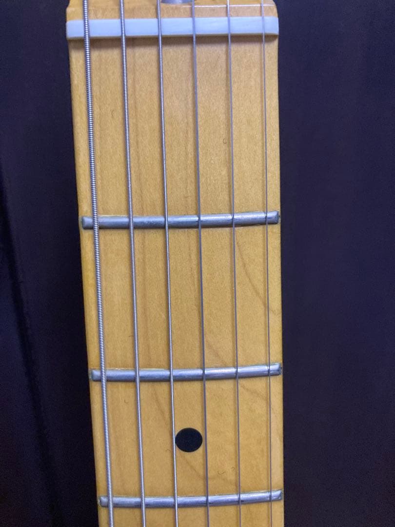 History Z1M-CFS 2TS 厚手専用ケース付き フジゲン製造