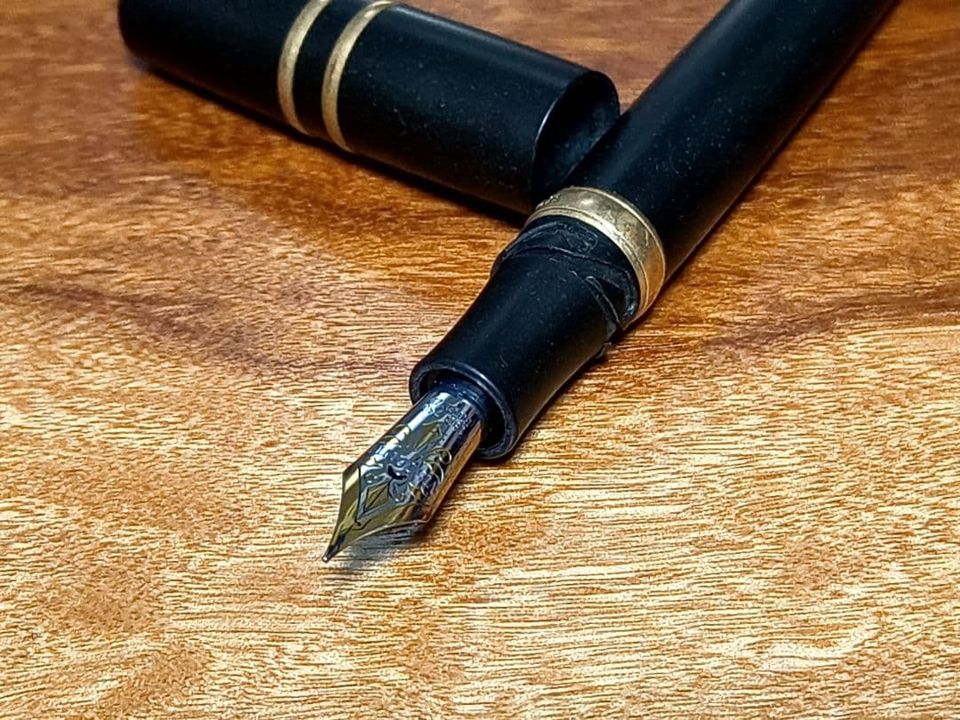 Visconti homo sapiens ホモサピエンス 万年筆