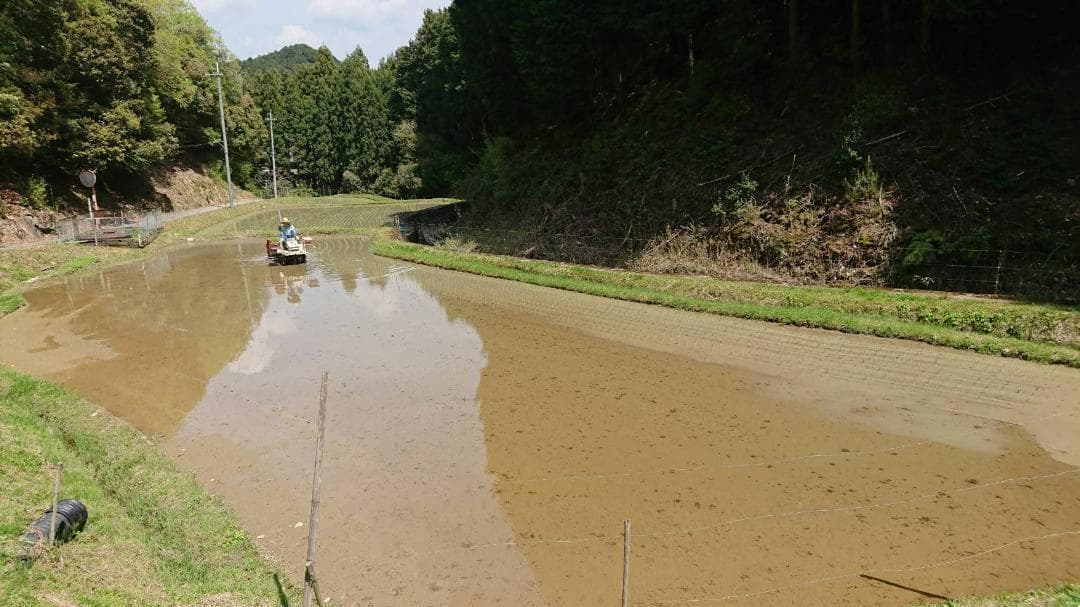 令和7年度 【湧き水栽培】農薬不使用玄米　ひとめぼれ 30㎏　奈良の農家直送