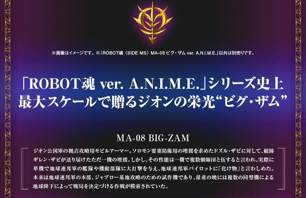 【プレバン限定】ROBOT魂 ビグ・ザム ver. A.N.I.M.E.