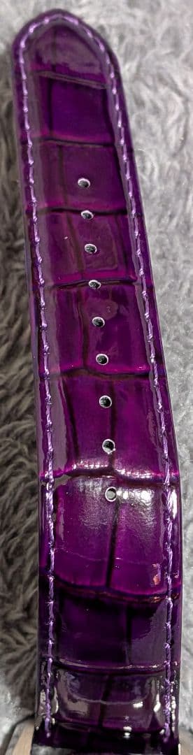 ジョジョの奇妙な冒険 パンナコッタ・フーゴ モデル 腕時計 seiko