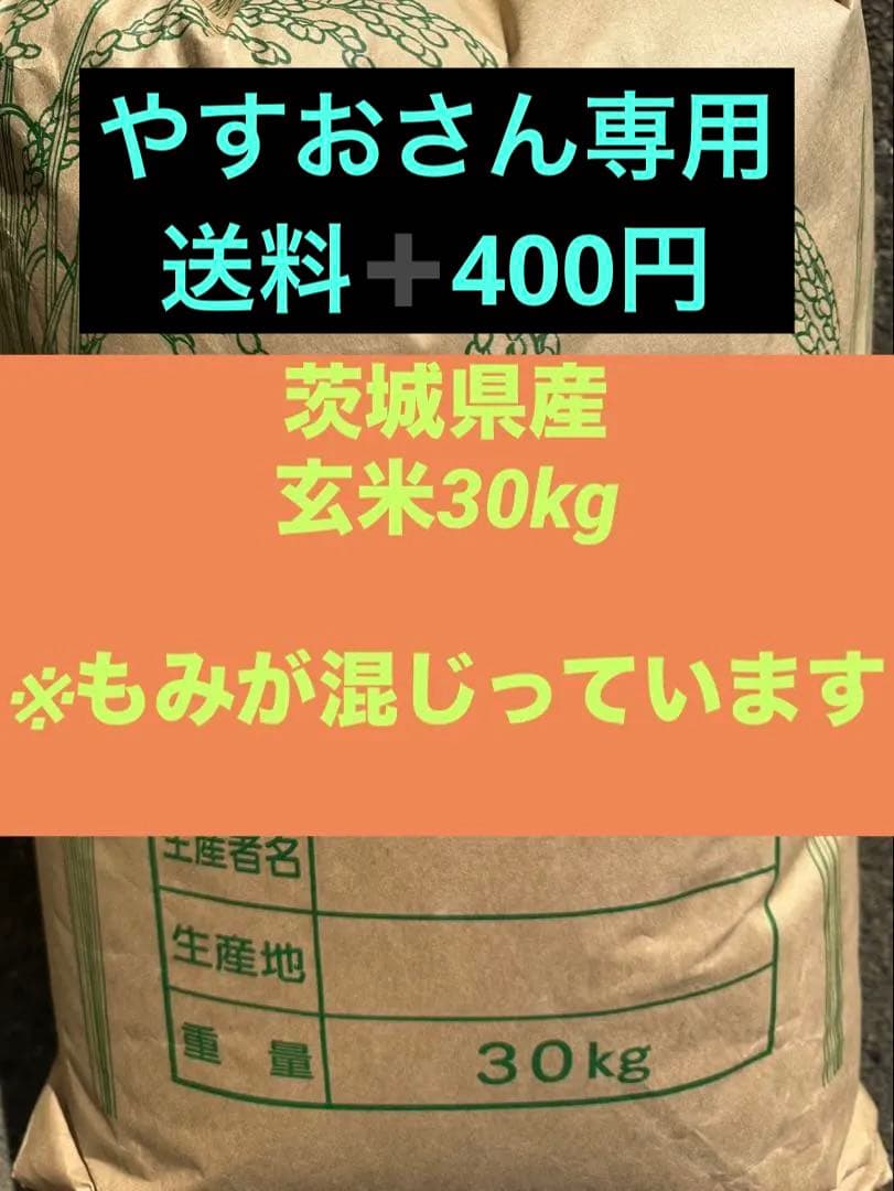 限定　玄米　もみ混じり　玄米　30kg 米　ご飯