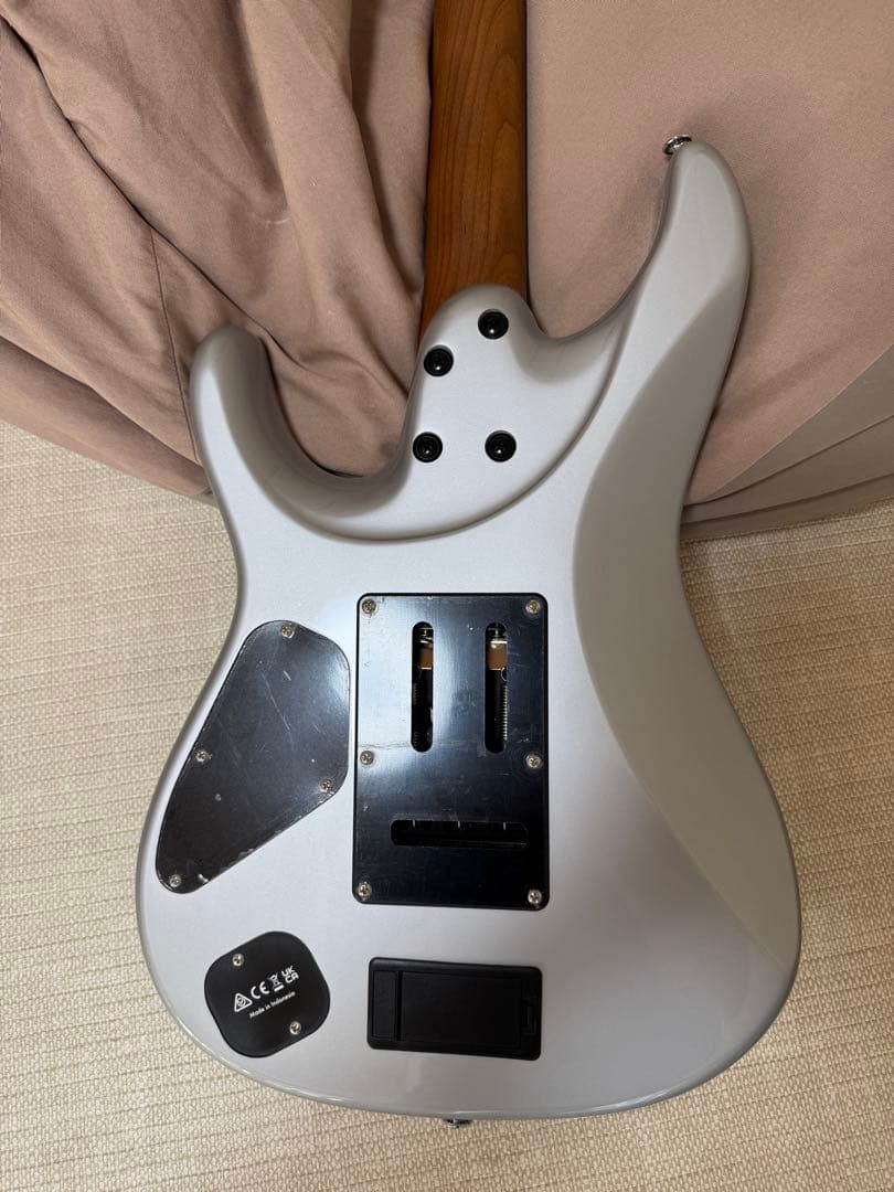 【期間限定値下げ】2025年4月新品購入 Ibanez TOD 10