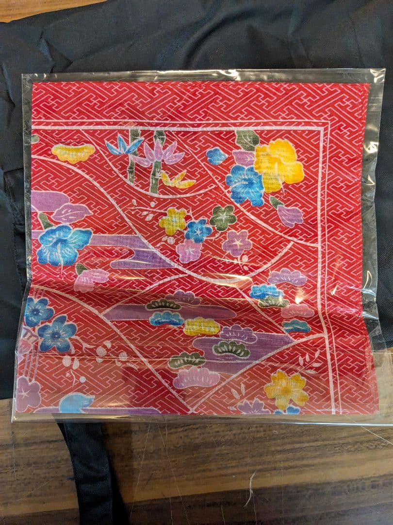 さ*な様 D1071　三線　リュックサック型　ケース　テキスト　教科書　弦　その