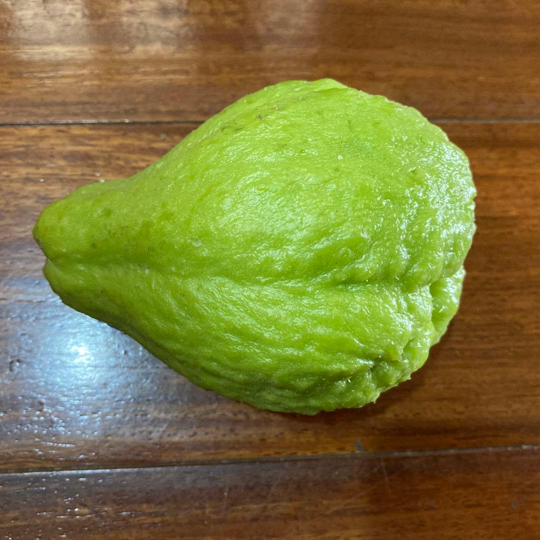 ハヤトウリ 無農薬 採れたて 20キロ