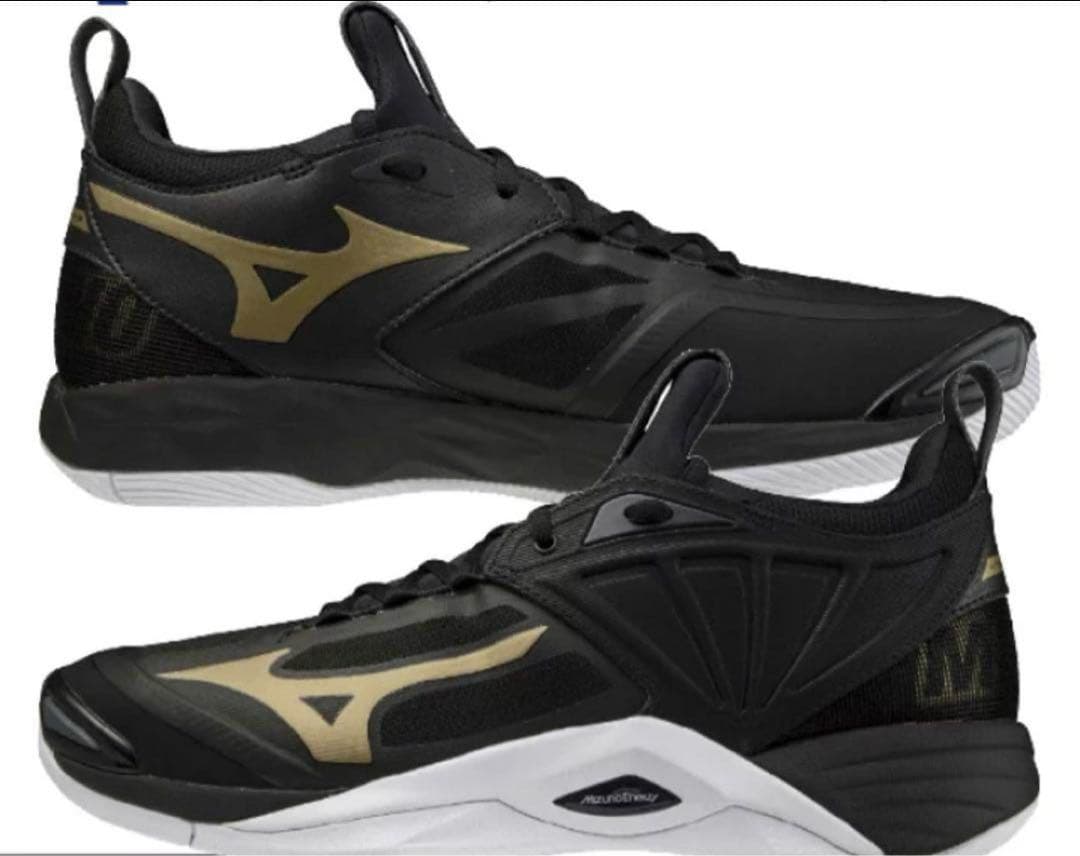 シューズ Mizuno wave momentum 2 V1GA211252