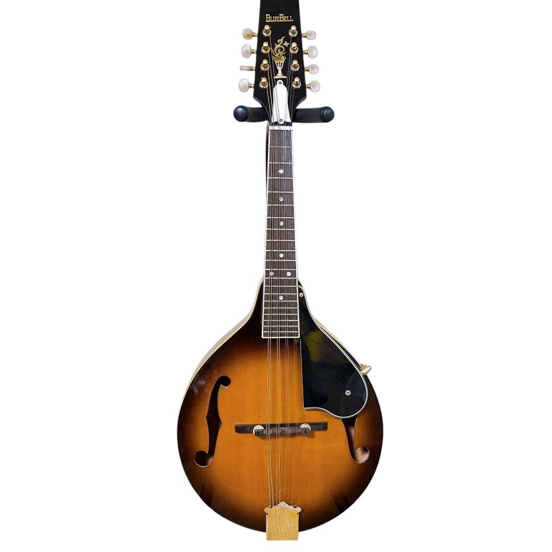 希少1970年代 Bluebell(ブルーベル)フラットマンドリン/ Hケース付