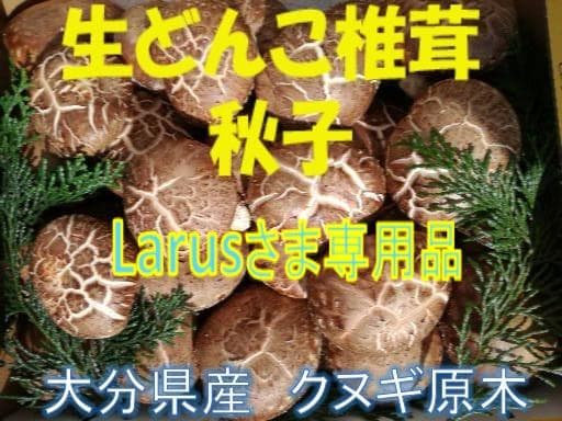 Larusさまご予約専用 大分県特産 生どんこ椎茸「秋子」ダブル 1st