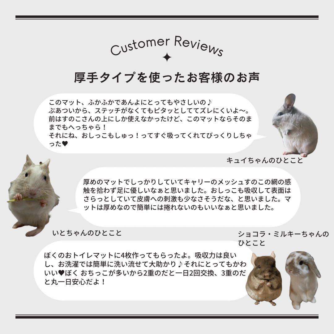 海外アンチピルマット　商品紹介ぺージ