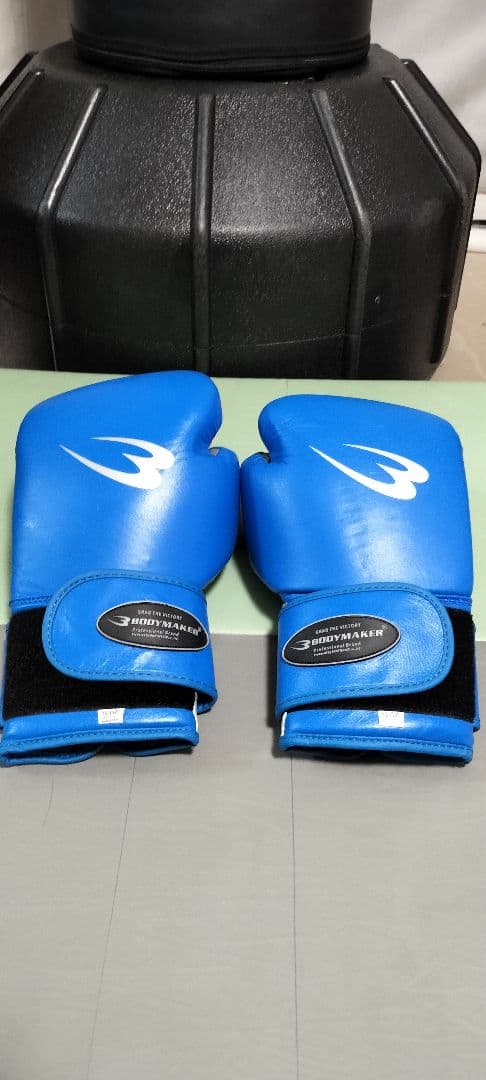 手渡し限定【ボディメーカー　スタンディングバッグ】グローブ付き