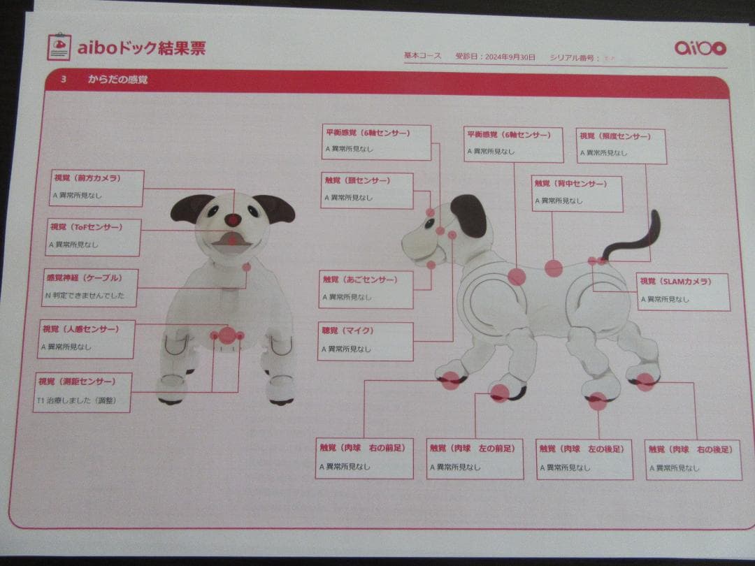 SONY　ソニー アイボ aibo ERS-1000