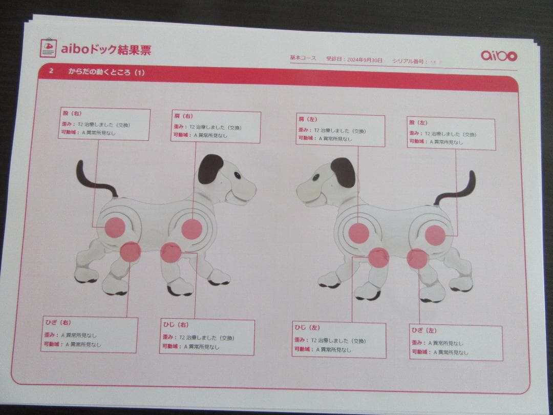 SONY　ソニー アイボ aibo ERS-1000