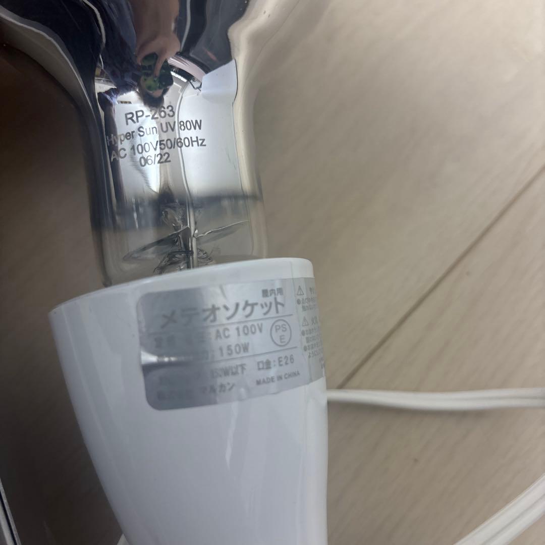 爬虫類飼育セット