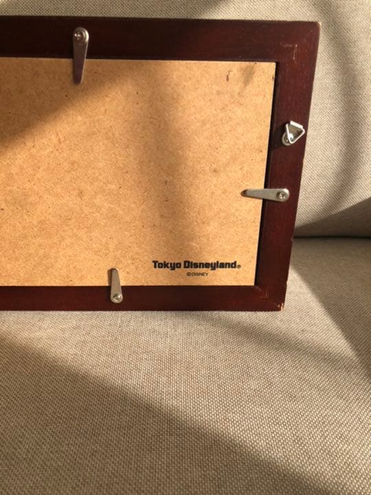 ディズニー　ピンバッジ　PinCollecting プリンセス　額入り