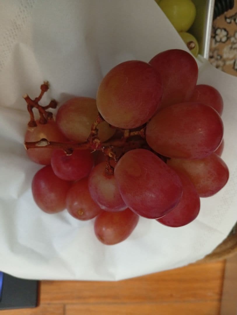 【超お買い得】シャイン・ニーナ・ルージュ☆3.8キロ☆家庭用・訳あり・粒