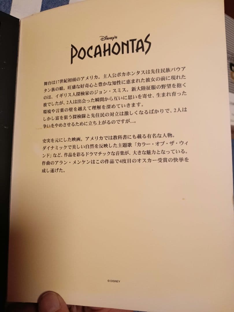 ☆Disney　レア品☆ディズニーストア限定 15th アソートブック