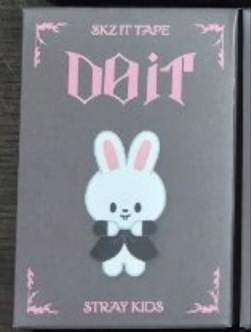 StrayKids SKZOO FIGURE CLIMBING リービット