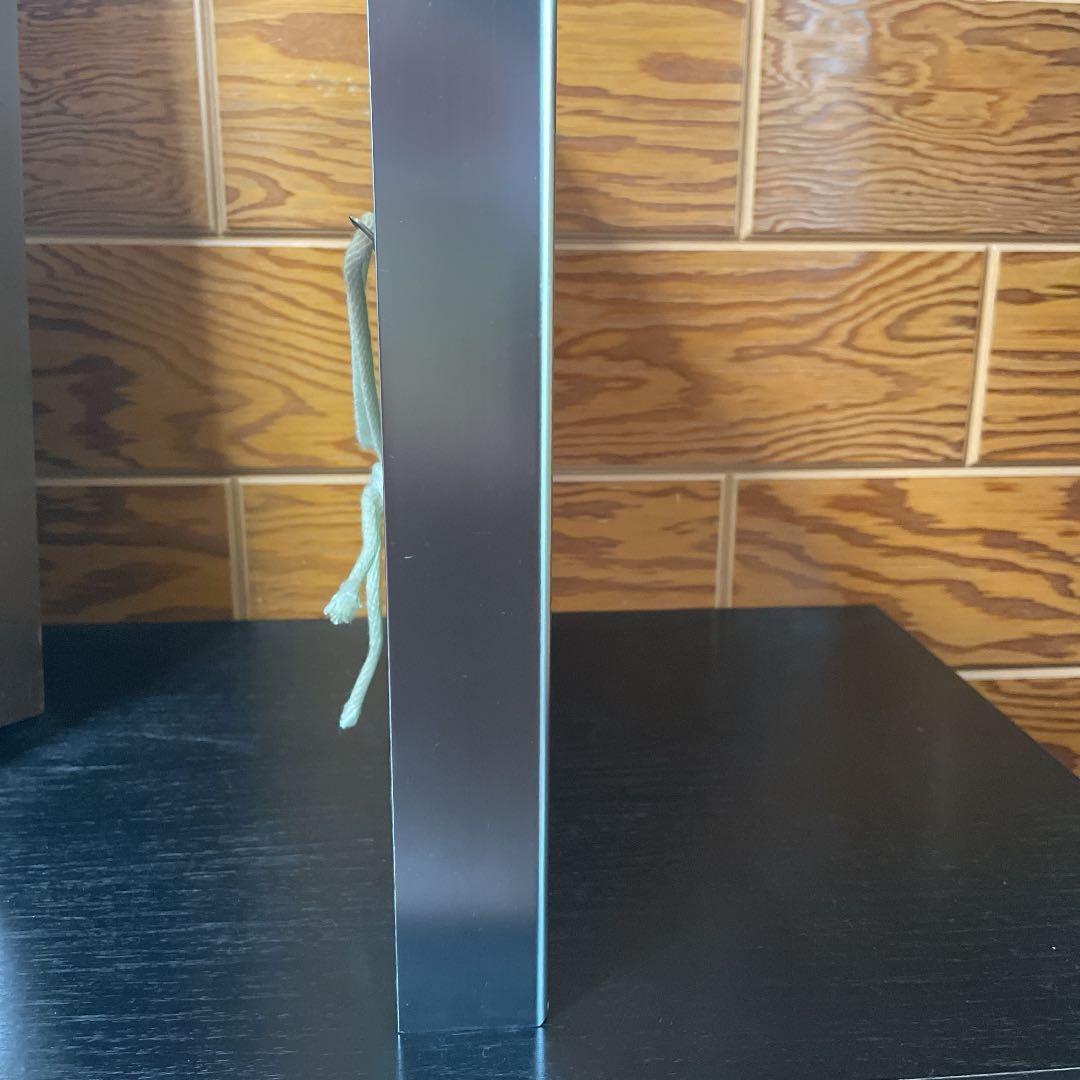 帖佐美行 「晴空飛翔」 彫金絵