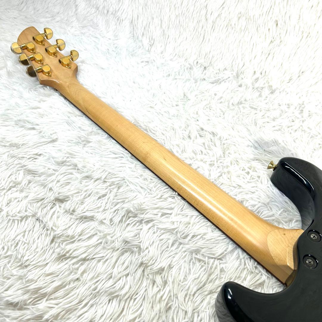 【希少】Fernandes APG-85S GLAY HISASHI愛用モデル