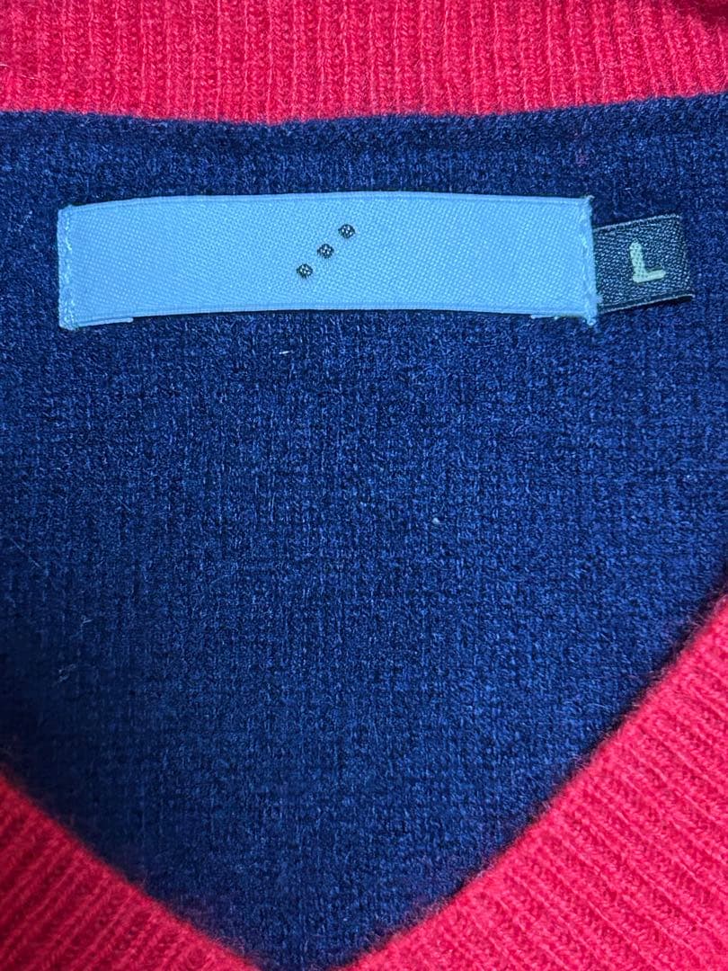 rough &swell＊カシミヤ100%セーター/L/試着のみ