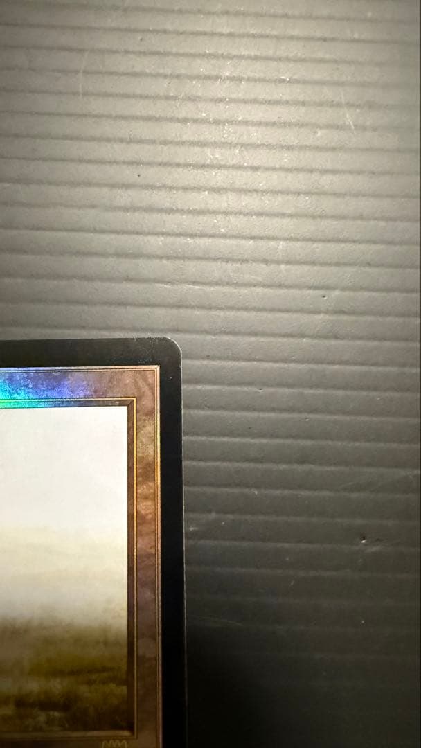 溢れかえる岸辺 日本語版