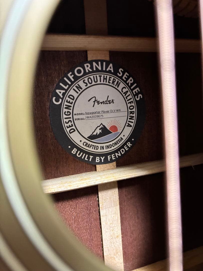 Fender Newporter Player ギグバック付