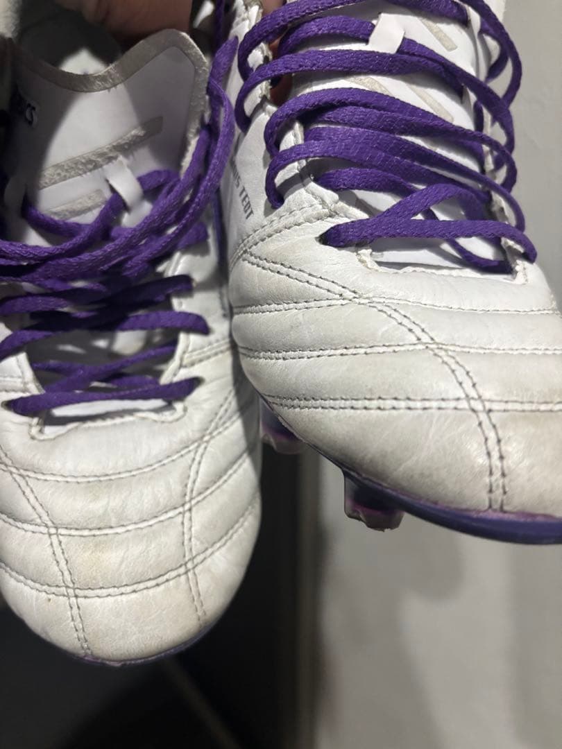 限定カラー大特価アシックスDSライト X-FLY5 26.5cm今日だけです。