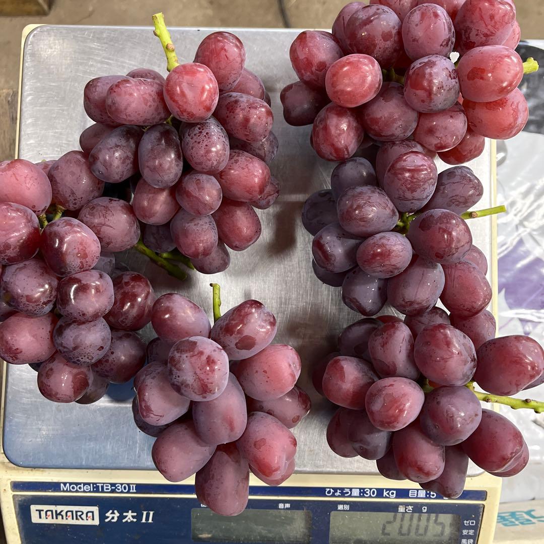 #2 山梨県産　富士の輝き　2kg