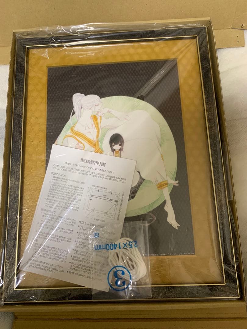 当選品　王国物語　額装入り3Dレンズアクリルプリント