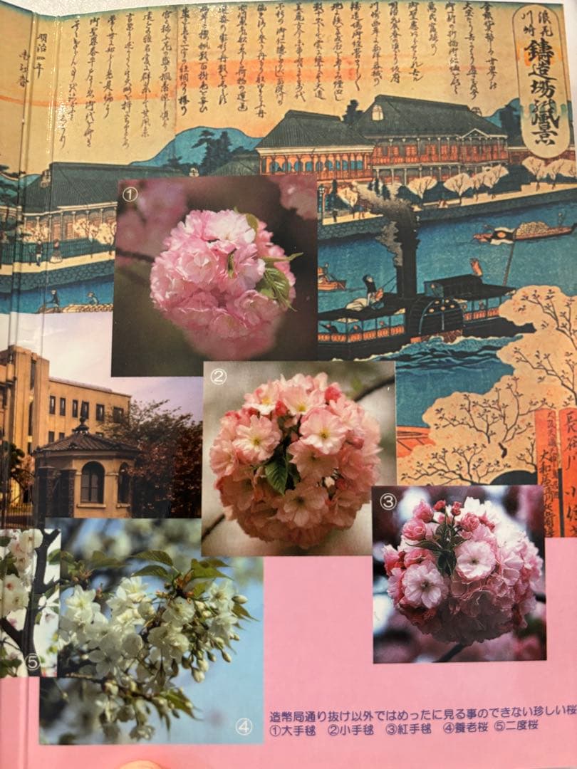 パンダ蘭蘭 2002年桜の通り抜け記念カラーメダル