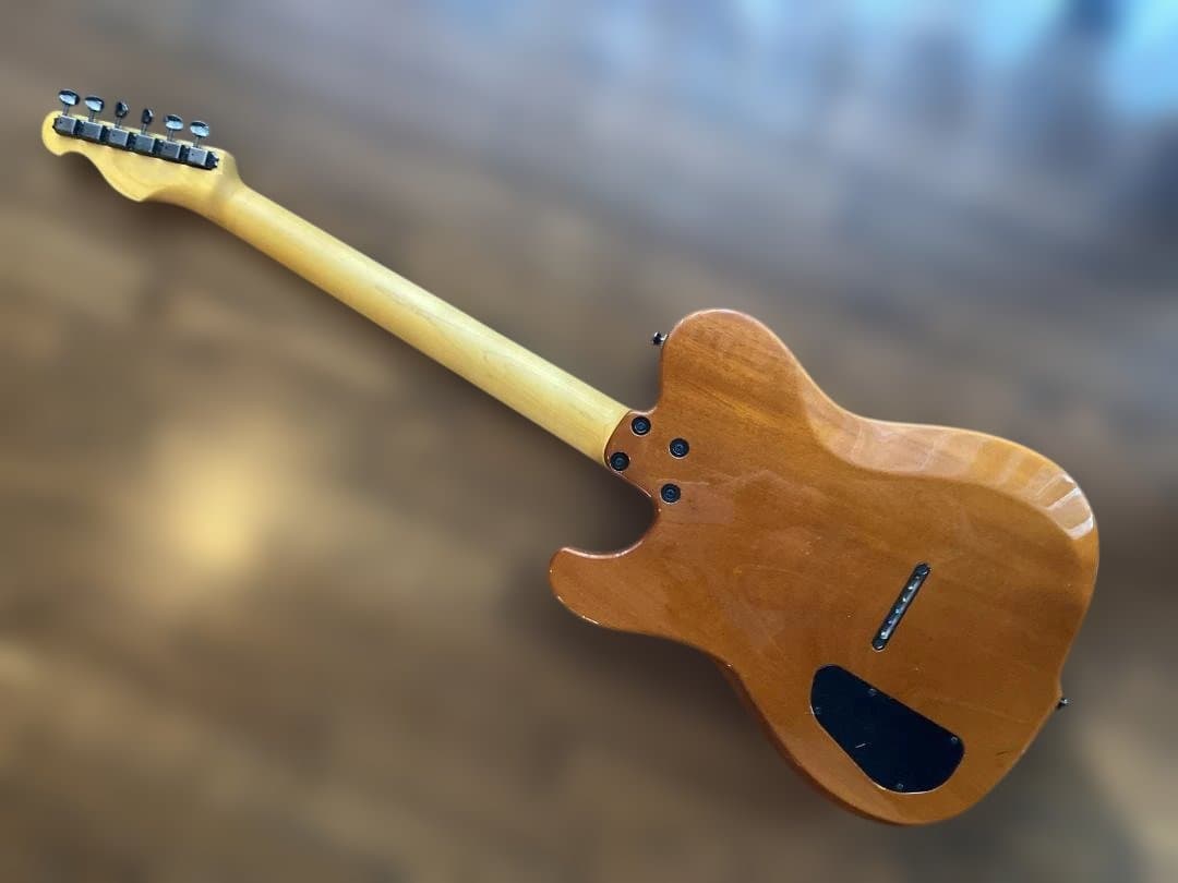 Westville Westel Semi-Hollow 　貴重な１マイク仕様