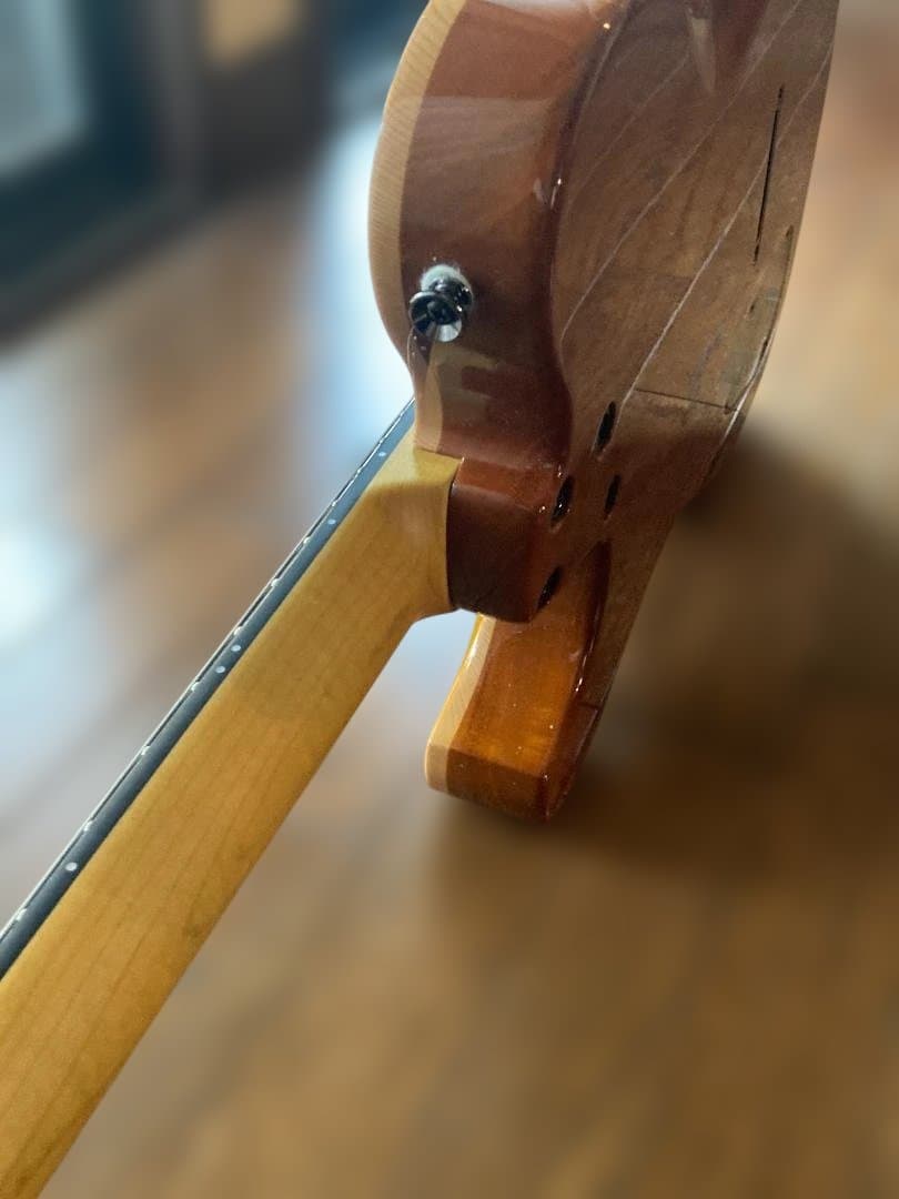 Westville Westel Semi-Hollow 　貴重な１マイク仕様