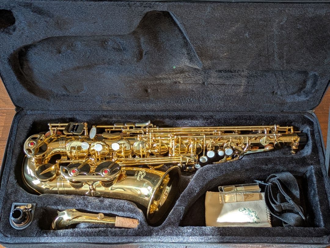 J. Michael サックス ゴールド 本体とケース付き