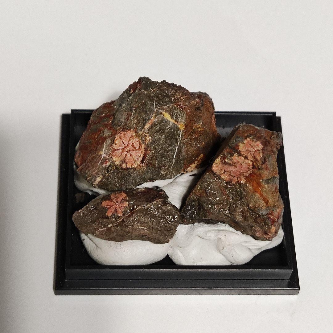 希少！パワーストーン　天然石　原石　桜石　母岩付　ケース入り　No.178