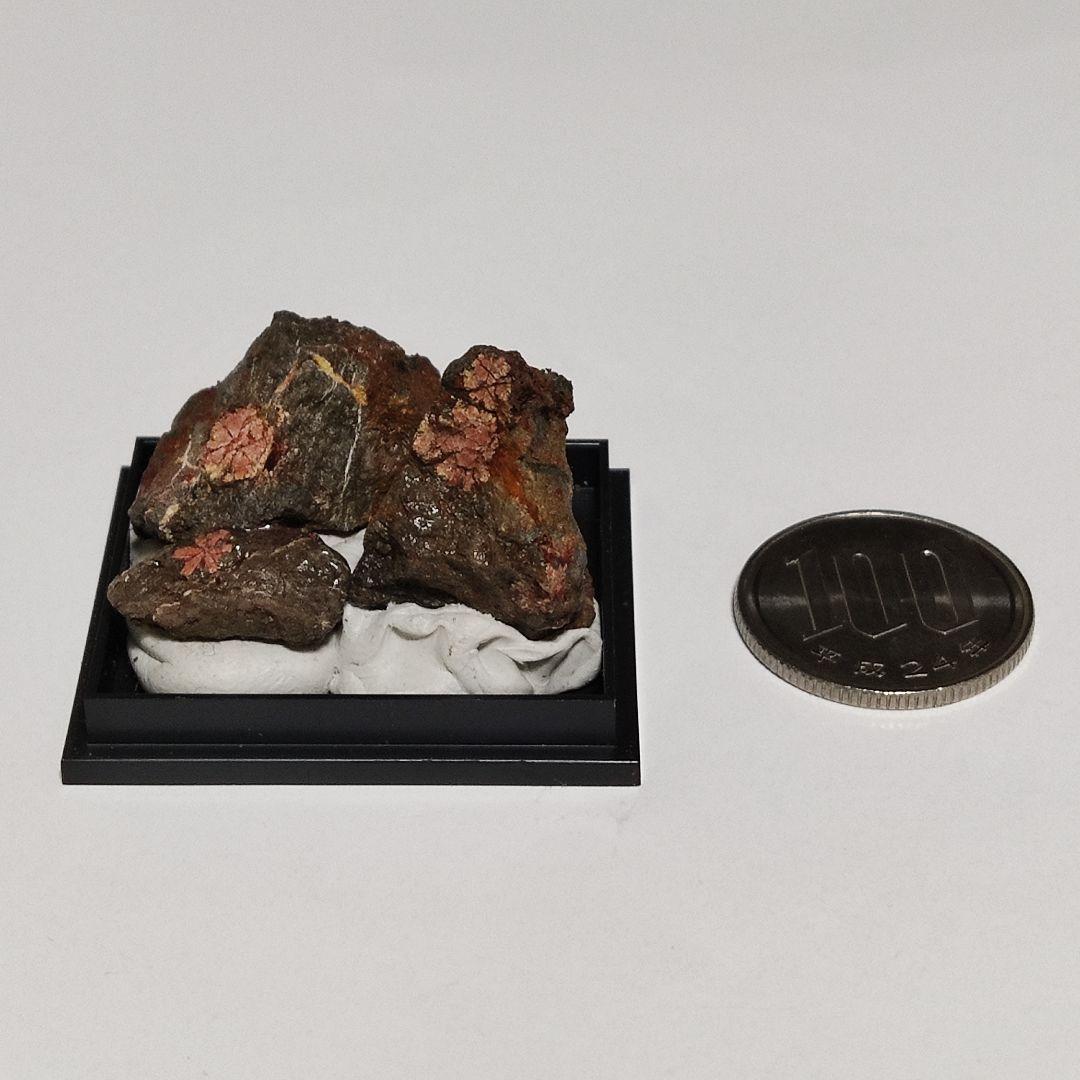 希少！パワーストーン　天然石　原石　桜石　母岩付　ケース入り　No.178