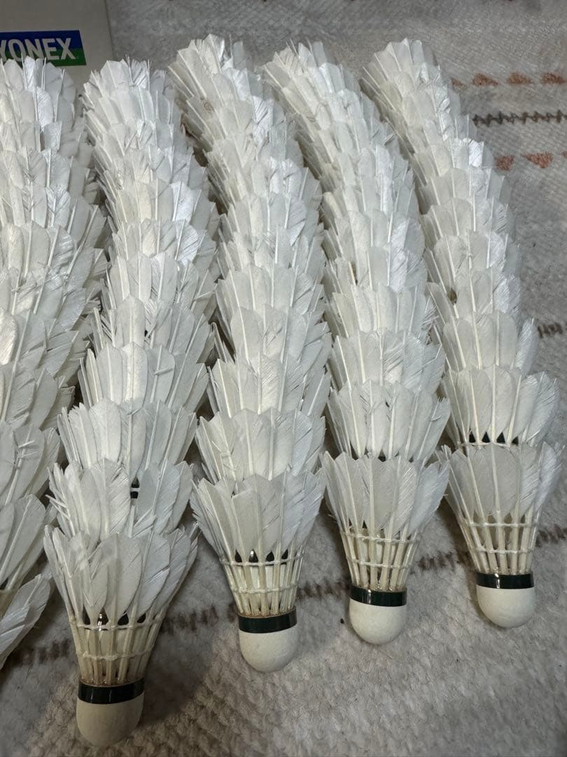 ニューオフィシャル　4番　ノックシャトル