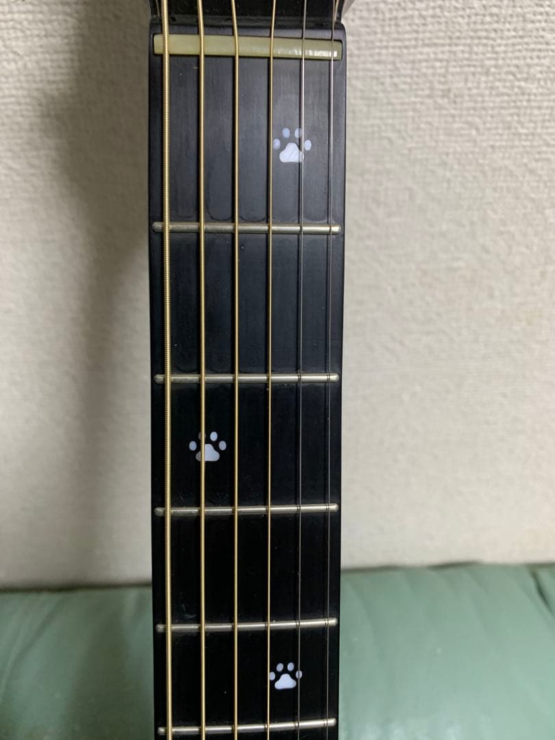 ナターシャギター　THE CAT