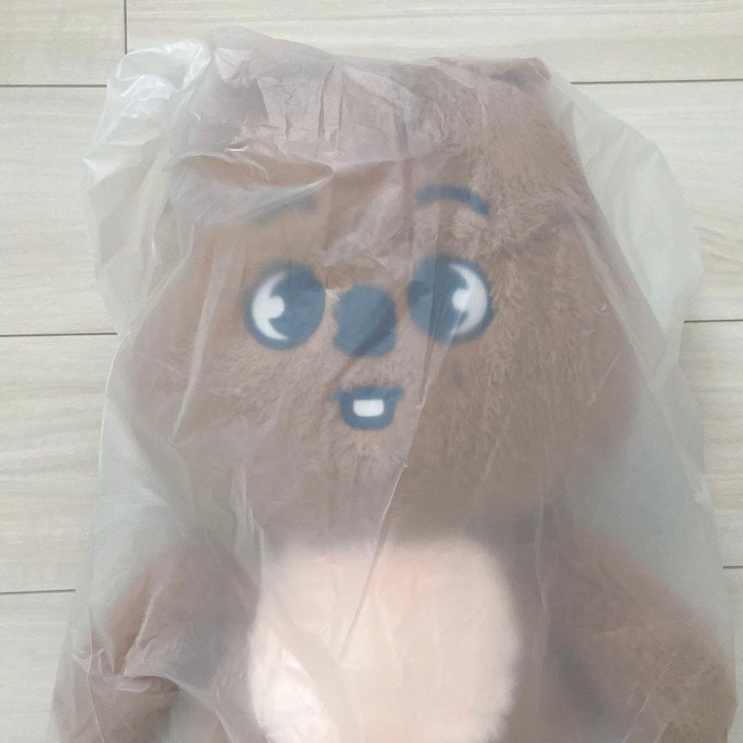 ハンクウォッカ　ハン　スキズ　テディ　新品未開封