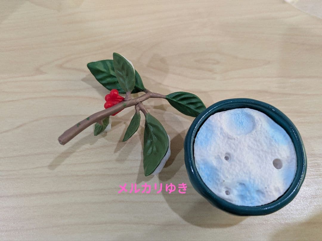 ポケモン　アローラロコン　リーメントなど5点セット♡