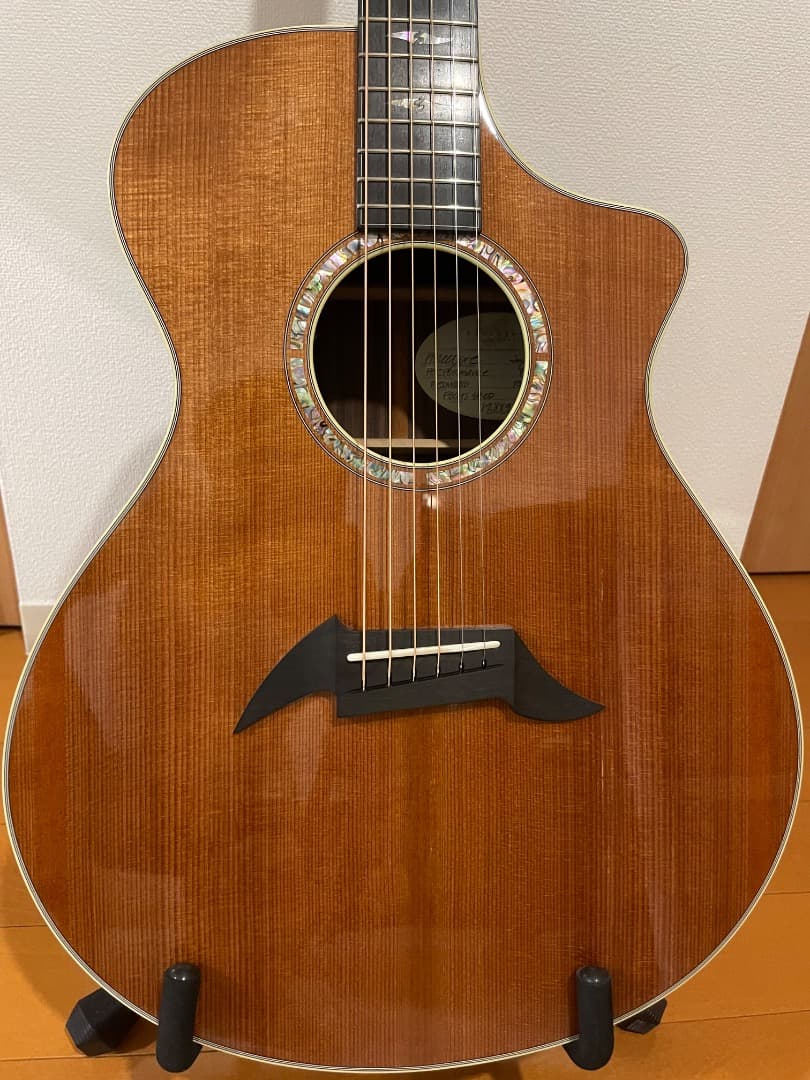 す*ん様 Breedlove Concert Focus SEブリードラブスペシ