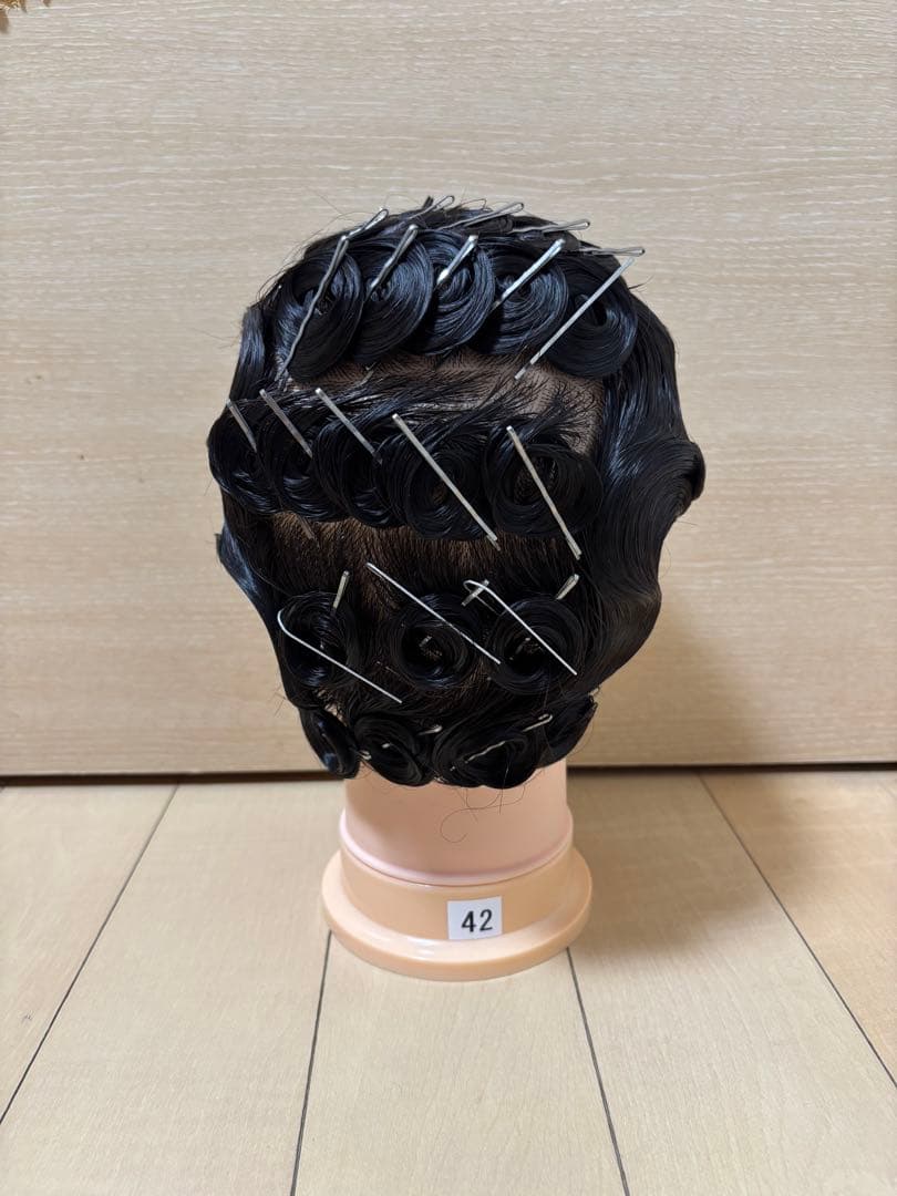 国試オールウェーブウィッグ