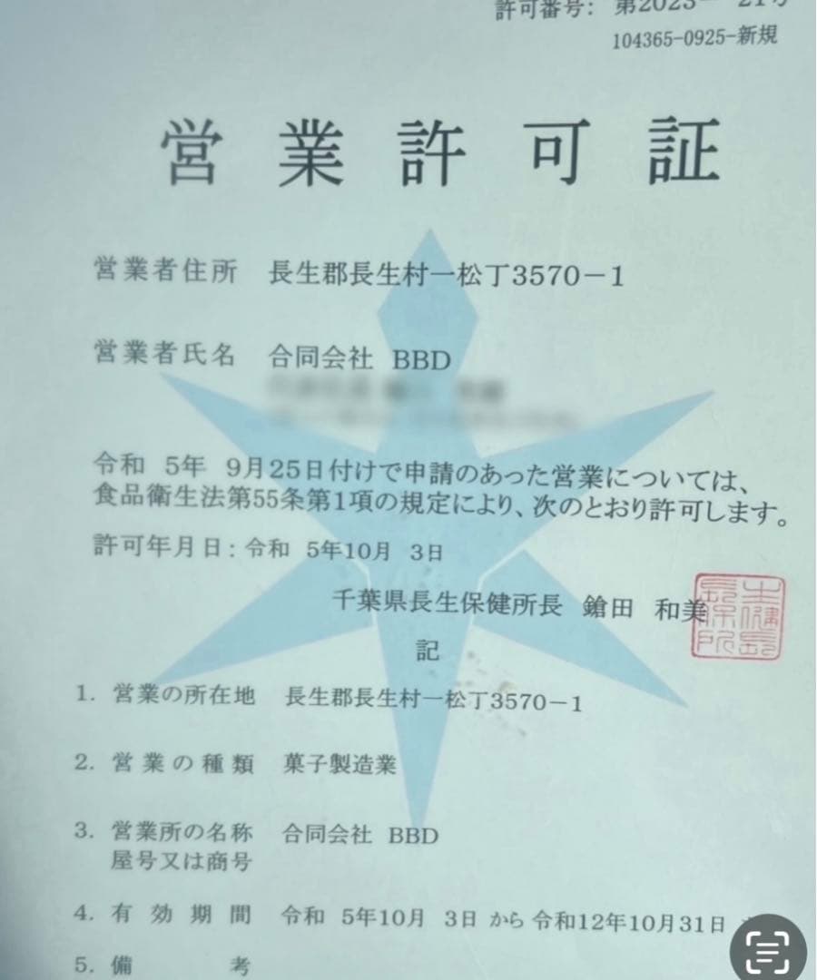カピバラ様　メレンゲクッキー　焼き菓子　チョコ　琥珀糖
