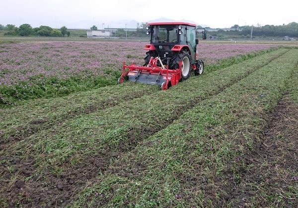 新米　兵庫播州れんげ米　きぬむすめ　７年産　精米　極1等米３0Kg　農直送料無料