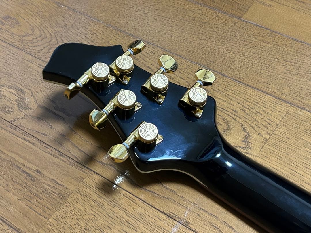 【〜1/11限定値下げ】Inyen Vina フルオーダーギター